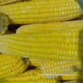 China Frozen Food Yellow Fruit Sweet Corn